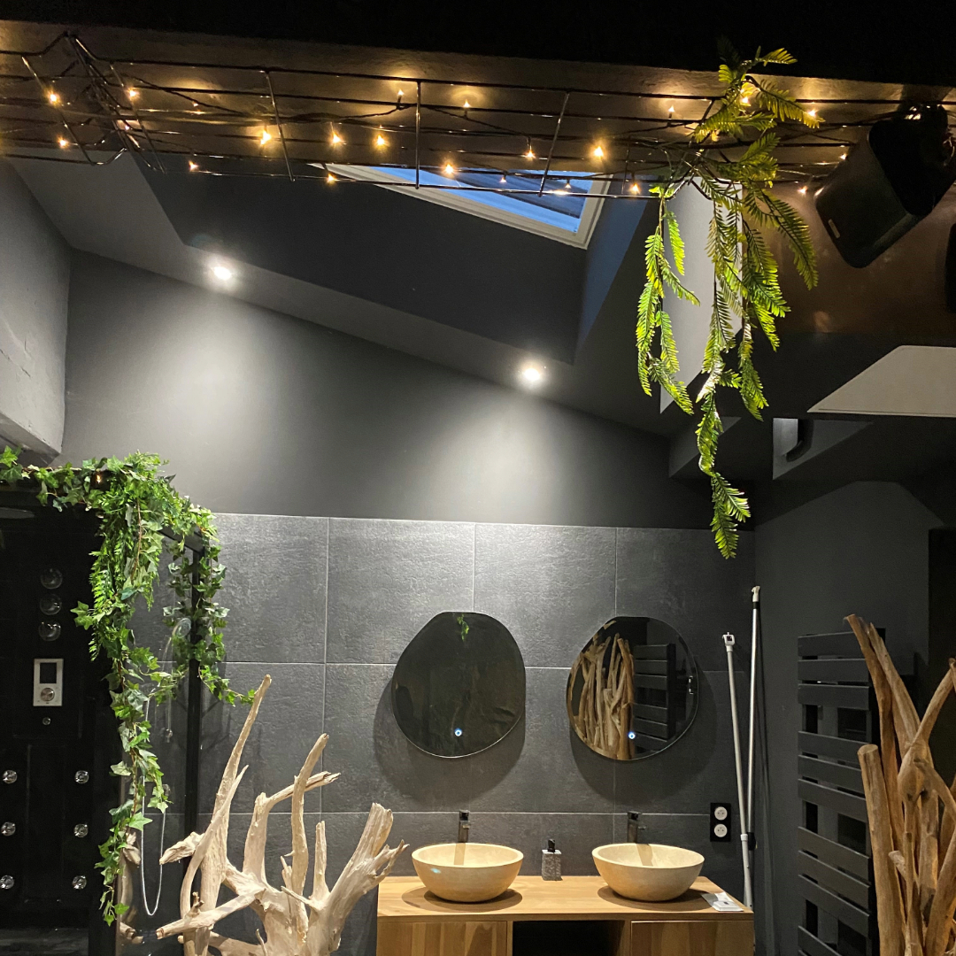 fenêtre de toit à Remiremont